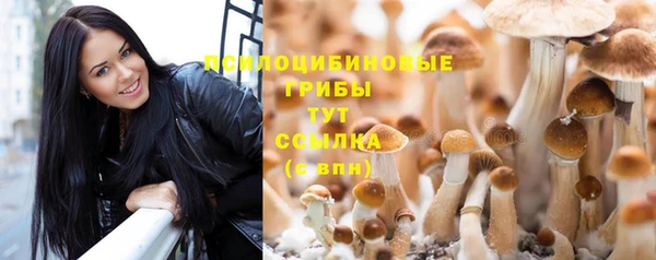 ГАЛЛЮЦИНОГЕННЫЕ ГРИБЫ Богородск