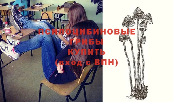 apvp Богородицк